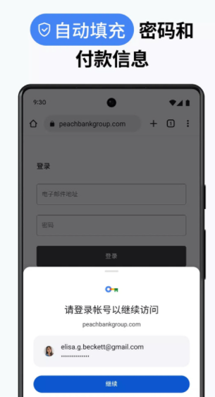 chrome安卓版截图4