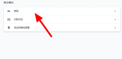 谷歌浏览器怎么记住密码5