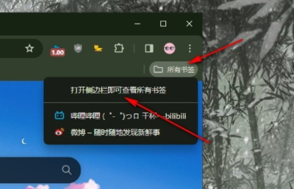 谷歌浏览器如何如何显示所有书签5
