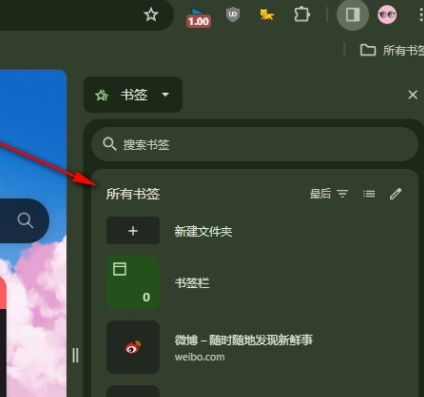谷歌浏览器如何如何显示所有书签6
