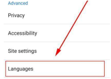 手机谷歌浏览器怎么设置中文4