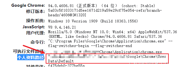 谷歌浏览器同步功能开启不了怎么办5