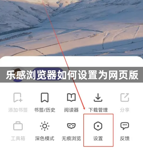 乐感浏览器如何设置为网页版1