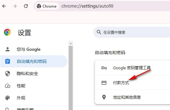 google chrome怎么删除个人付款方式5